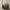 Guess Daryna Dark Taupe Shoulder bag new with tag n totebag photo 4