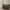 Guess Daryna Dark Taupe Shoulder bag new with tag n totebag photo 3