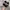 ADIDAS SUPERSTAR photo 6