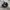 ADIDAS SUPERSTAR photo 1