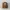 Topi Cap AE 77 Ripped Visor American Eagle photo 1