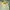 TOPI BASEBALL MLB OAKLAND ATHLETIC photo 4