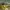 Topi basebal build up mlb oakland athletics photo 5