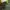 Topi basebal build up mlb oakland athletics photo 6