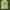 Topi basebal build up mlb oakland athletics photo 1