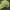 Topi basebal build up mlb oakland athletics photo 2