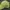 Topi Basebal Build Up Mlb Oakland Athletics