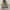 Converse Chuck Taylor All Star 70S Low Nomad Khaki photo 4