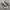Converse Chuck Taylor All Star 70S Low Vintage Canvas Desert photo 1