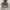 Converse Chuck Taylor All Star 70S Low Vintage Canvas Desert photo 4