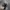 Cap Topi Realtree Parker photo 2