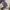 NEW Long Soft Knit Rib Flower Dark Grey Fitted Body  photo 5
