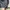 NEW Long Soft Knit Rib Flower Dark Grey Fitted Body  photo 6