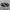 Converse Chuck Taylor All Star 70S High Black White photo 2