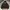 UVU Running Club Ultralight jacket black photo 1
