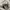 Converse Chuck Taylor All Star 70S High Black White photo 6