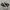 Converse Chuck Taylor All Star 70S High Black White photo 2