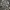 Adidas Super Star Checker Tracktop photo 5