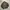 Adidas Super Star Checker Tracktop photo 1