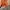 Cathy doll lipblur  photo 3