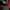 Van* sk8 red maroon on red photo 6