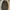 CANVAS JACKETS ARMY STYLE photo 1