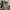 ARMY STYLE PARKA JACKETS H&M CANVAS M 54 photo 6