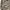 ARMY STYLE PARKA JACKETS H&M CANVAS M 54 photo 4