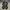 Shoes Puma photo 1