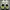 Shoes Adidas Super Star photo 6