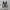 Converse Chuck Taylor All Star 70S High Black White photo 3