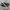 Converse Chuck Taylor All Star 70S High Black White photo 2