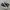 Converse Chuck Taylor All Star 70S High Black White photo 2