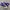 Converse Chuck Taylor All Star 70S High Candy Grape Purple photo 2