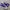 Converse Chuck Taylor All Star 70S High Candy Grape Purple