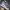 VANS SK8-HI 38 DX anaheim factory - blue checkerboard  photo 3