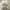 action figures shirohige battle of marineford photo 5