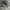 Realtree Streetwear Y2K Hat Pria multicolor photo 2