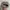 Realtree Streetwear Y2K Hat Pria multicolor photo 5