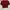 Croptop Maroon photo 2