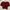 Croptop Maroon photo 1