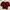 Croptop Maroon