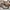 Sepatu Hiking AIGLE France Size 46 Outdoors Boots photo 3