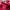 Streetwear Hat Pria red photo 6