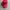 Streetwear Hat Pria Red