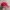 Streetwear Hat Pria red photo 4