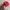 Streetwear Hat Pria red photo 3