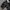 Goth Vintage Visual Kei Japanese Alt Fashion Outer photo 4