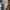 silk yellow mustard maxi dres photo 2