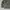 Camouflage Puffer Jacket by ORG photo 4